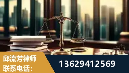 广元-委托诉讼代理人出庭