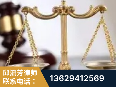 广元-委托诉讼代理人出庭